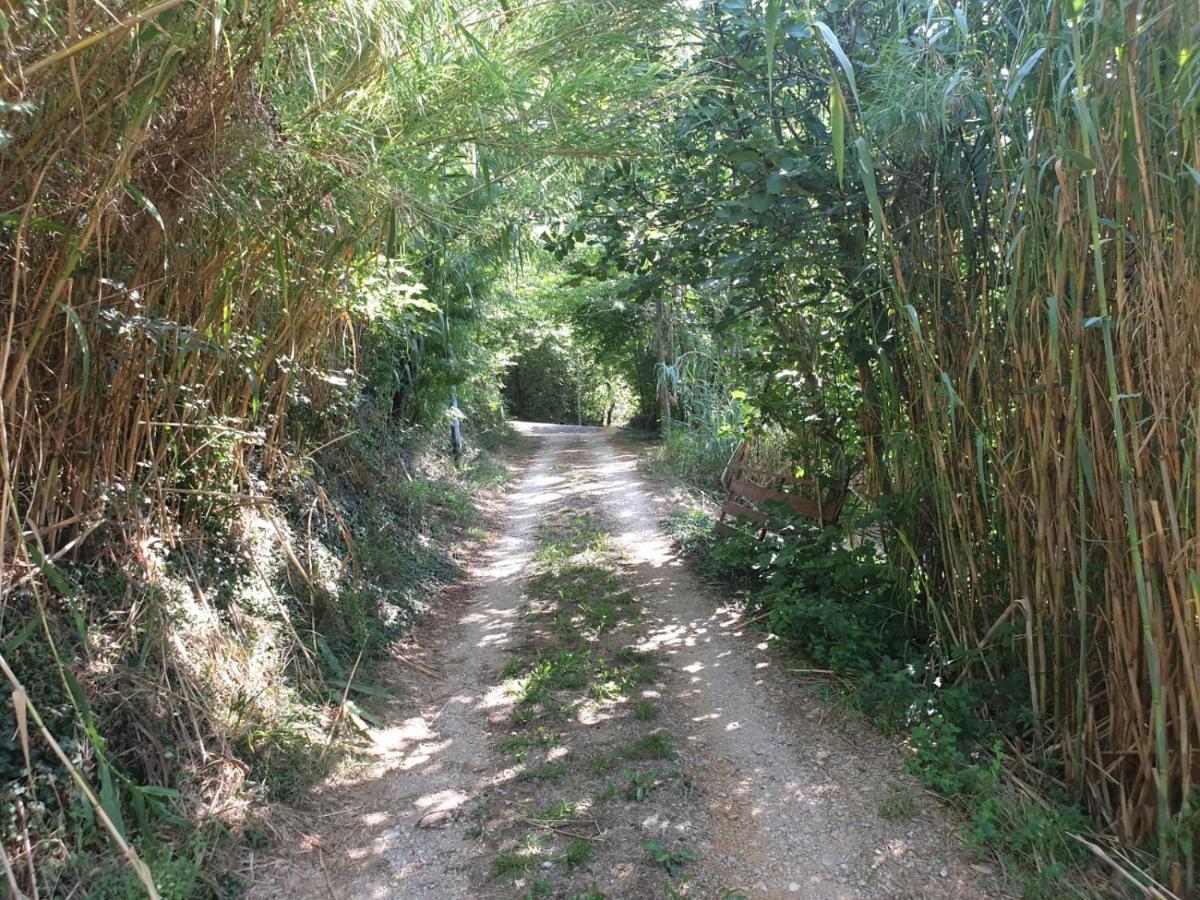 נין Holiday Home Borna מראה חיצוני תמונה