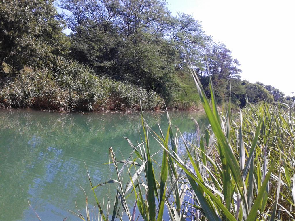 נין Holiday Home Borna חדר תמונה